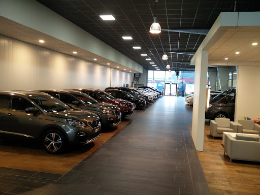 Wassink Autogroep Venlo | Peugeot, Citroën, Fiat, Abarth, Ford en Jeep - Thumbnail