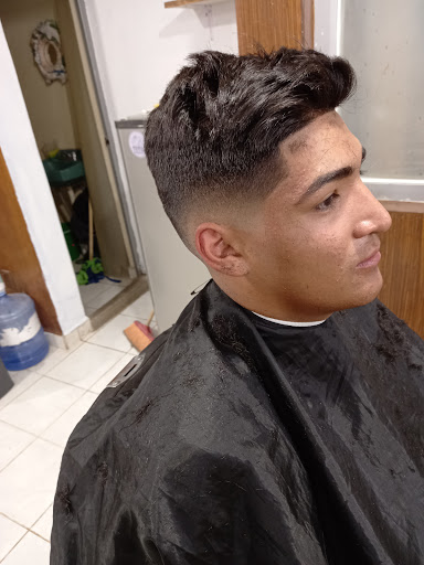 Barberia "totol" - Thumbnail