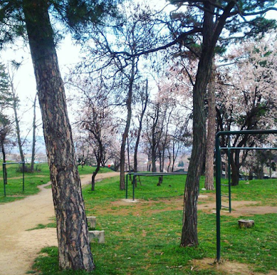 Photos of Tumbe Kafe hiking resort