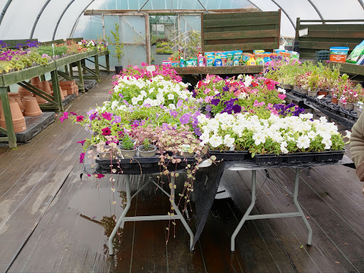 Ullapool Nurseries - Visual