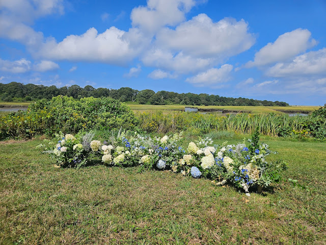 Foraged Floral of Cape Cod by null
