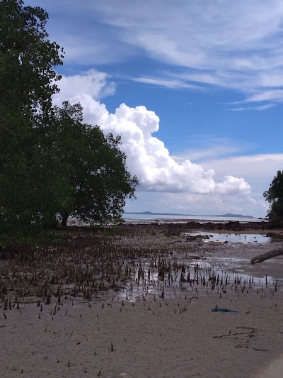 Photos of Pulau Kalimambang