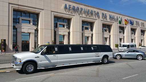Diamond Limos - Visual