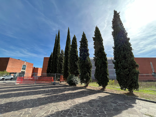 Cimitero della Misericordia di Pisa - Thumbnail