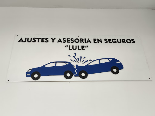 AJUSTES Y ASESORÍA EN SEGUROS LULE - Thumbnail