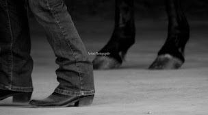 Photo n°30 de ÉCURIES DE LA VILLE AU BOIS à Saint-Hilliers (Écurie)