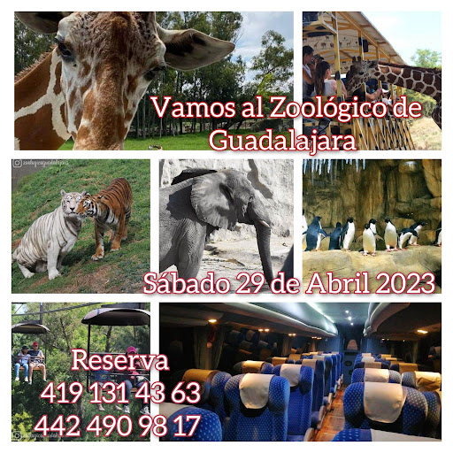 Rodríguez Tours Gallery - Mexico