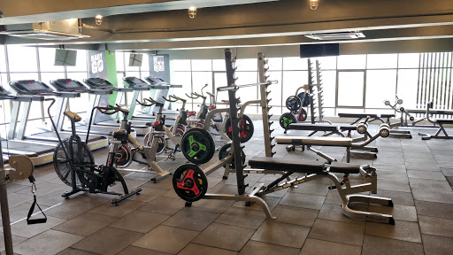 AR Fitness-Ring Road