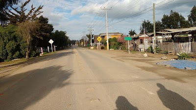 Photos of www.blackandgreen.cl