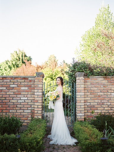 Brie Thomason Photography