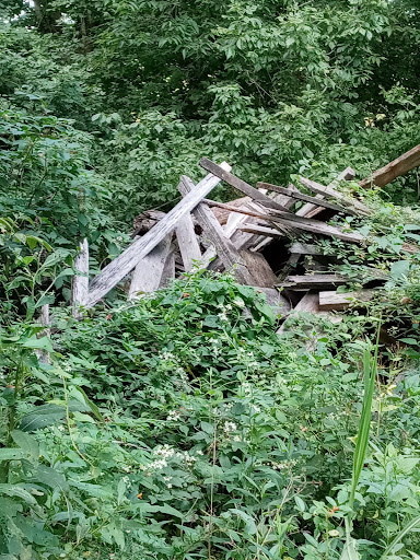 Spruce Hill Earthworks Trail