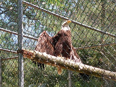 Bear Branch Nature Center