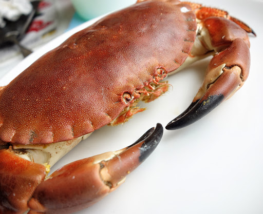 Jonas Seafoods Ltd - Thumbnail