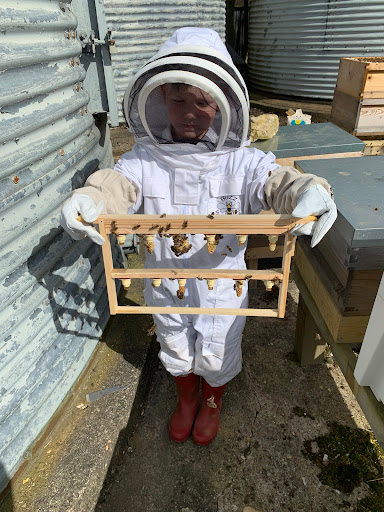 Bee Farming - Thumbnail