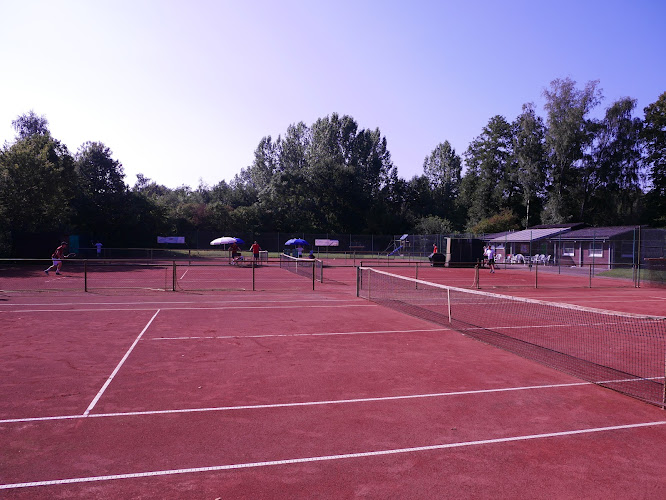 Tennisverein Ummeln e.V. photo