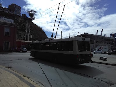 Photos of Plaza Whellright