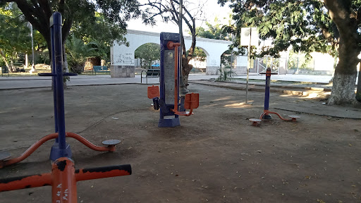 Jesse Maxwell Park - Visual