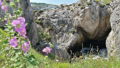 Photos of Şile Belediyesi
