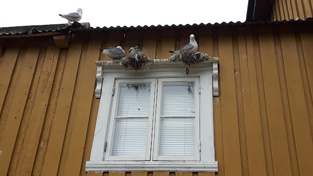 Nusfjord General Store