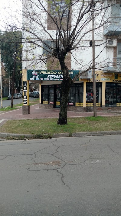 Photos of Pelado Motorcycle Parts