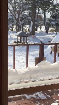 カフェくまいちご