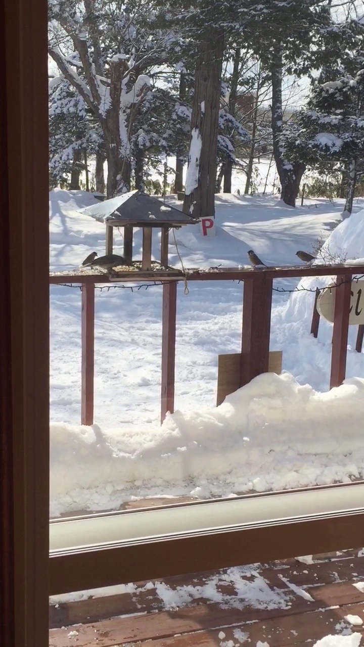 カフェくまいちご