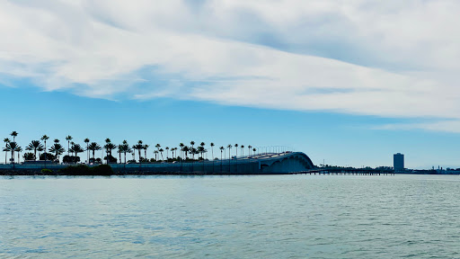 Beachin' Charters - Visual