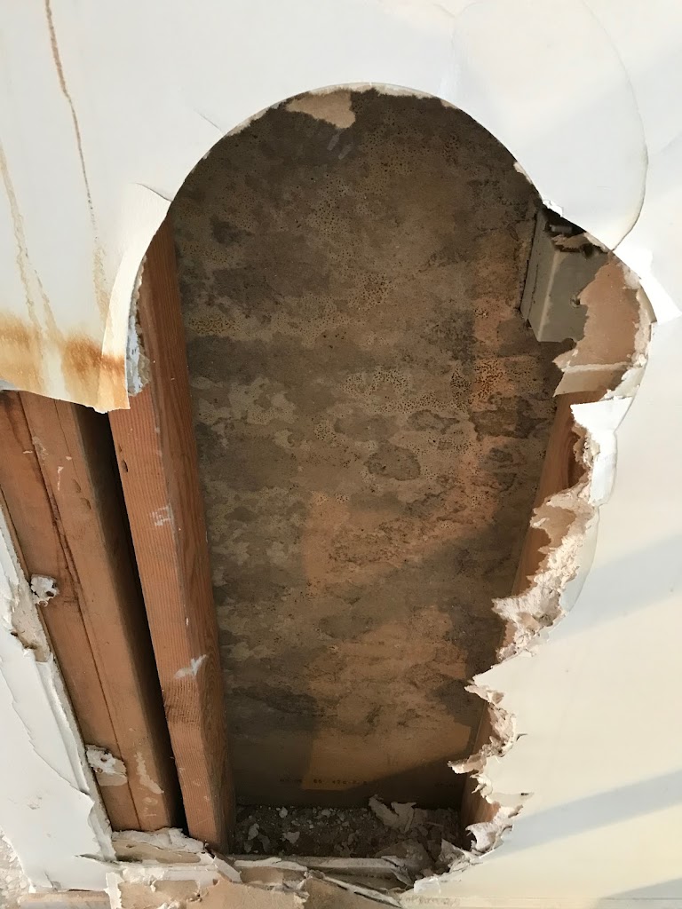 Long Island Mold Removal Pros photo