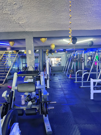 Gimnasio MX Sport