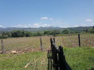 Photos of Hacienda El Potro Nueva Esperanza. Pr