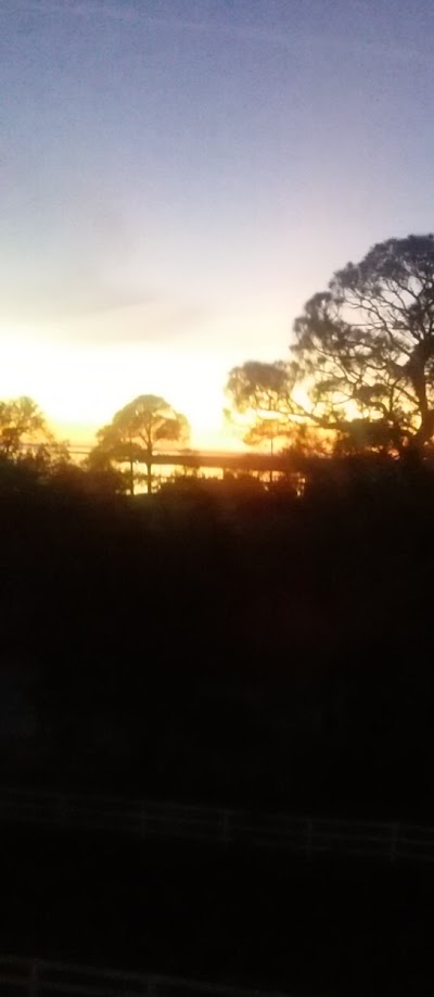 Photos of Steinhatchee Place Resorts