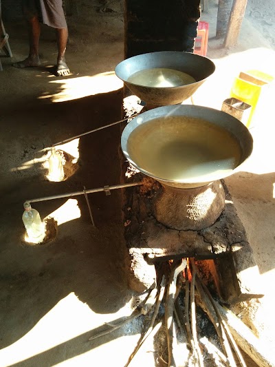 Photos of Wyne Palm Wine