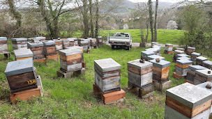Photo n°3 de Gaec Miel Abeilles et Cie. Miellerie de la rive faite. Céline Henck et Jean-Louis Clignon apiculteurs à Sentenac-d'Oust (Miellerie)