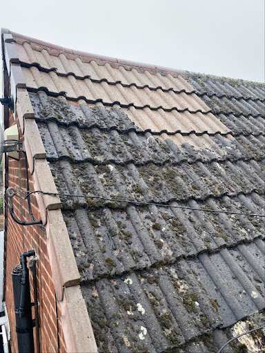 Leicester Proclean - Thumbnail