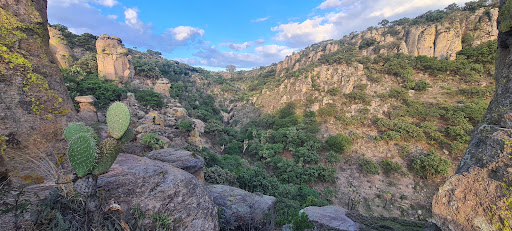Calvillo - Visual