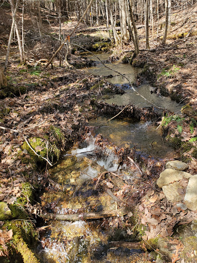 Witt's End Trail - Pleasant Street entrance/parking - Thumbnail