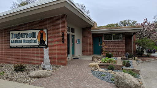 Ingersoll Animal Hospital - Thumbnail