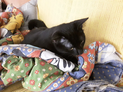 Centro Veterinario alla Ressiga SA - Thumbnail