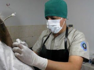 Veterinaria PROSAPVET 4