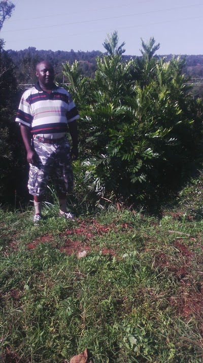 Photos of Nzaini Coffee Factory