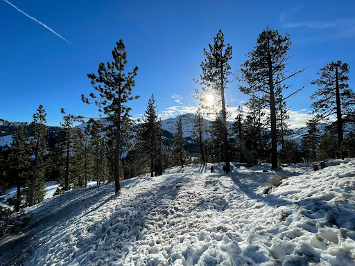 Donner Lake Vista Point - Thumbnail