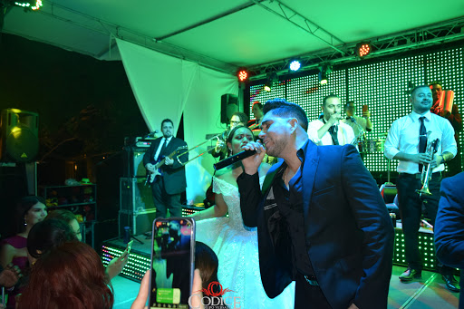 Grupo Codice - Visual