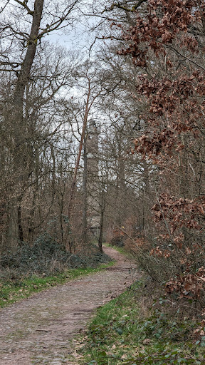 Parkplatz Buchberg Aussichtsturm - Thumbnail