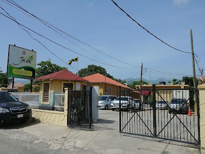 Photos of Jamaica Cultral Development Commission