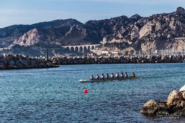 Cercle de l'Aviron de Marseille Sté Sportive