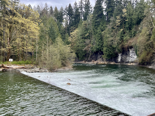 Puntledge River Hatchery - Thumbnail