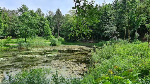 Freizeit Park - Visual