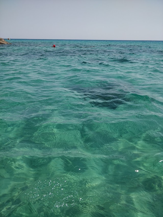 Spiaggia Di Campana Pontile