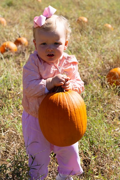 The Belue Place Pumpkin Patch