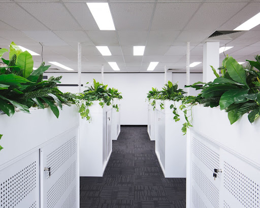 Framework Australia - Visual